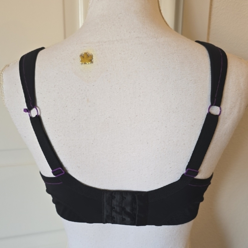 Panache Black Sports Bra with Moisture-Wicking Fabric - Picture 4 of 6